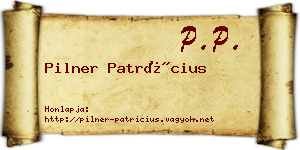 Pilner Patrícius névjegykártya